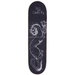 tech-team-liberty-2024-18